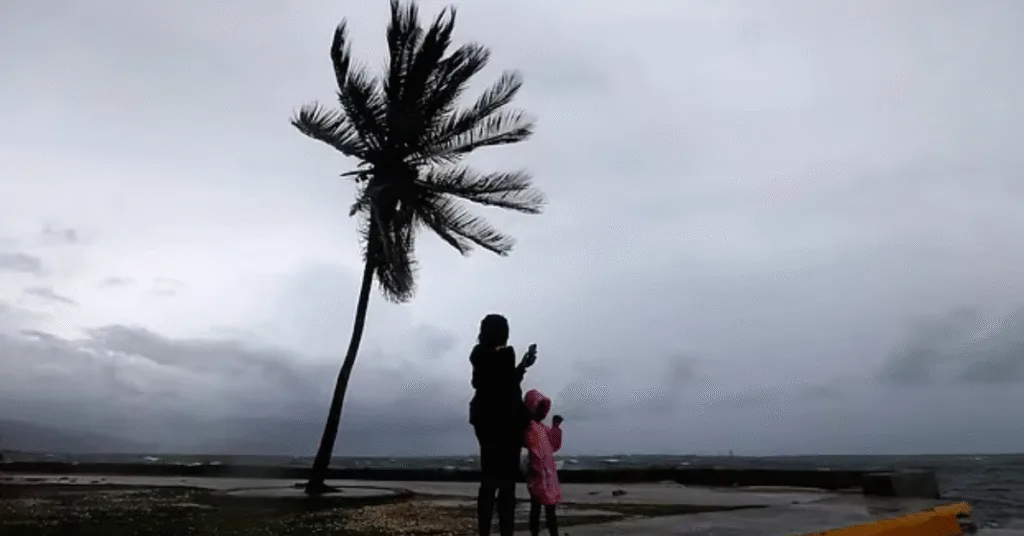 হারিকেন মেলিসা